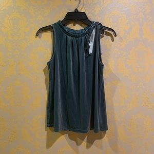 Ann Taylor sleeveless velvet blue top
